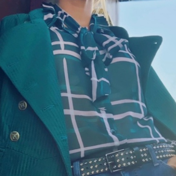 CABI Cake Ruffle Sheer Long Sleeve Button down Blouse - Picture 8 of 8